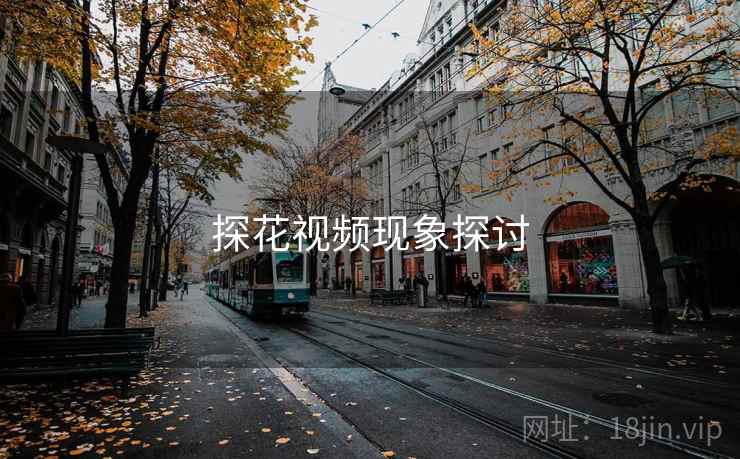 探花视频现象探讨