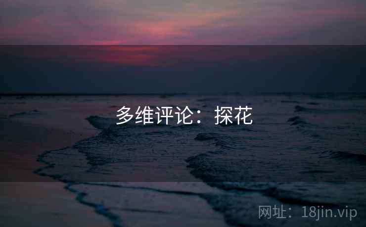 多维评论：探花  第1张