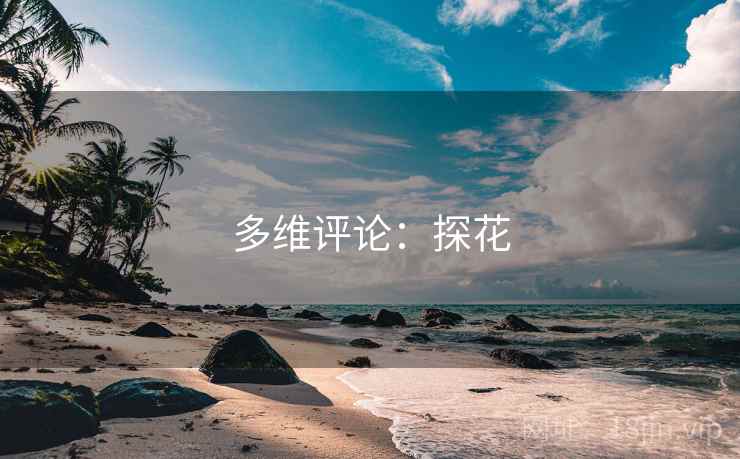 多维评论：探花  第2张