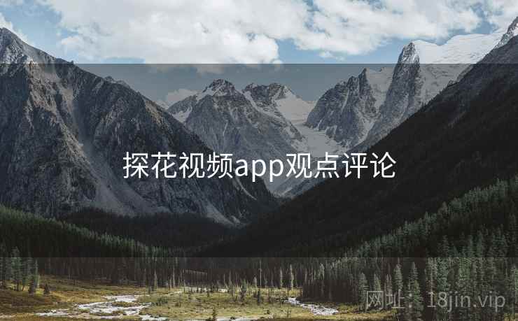 探花视频app观点评论