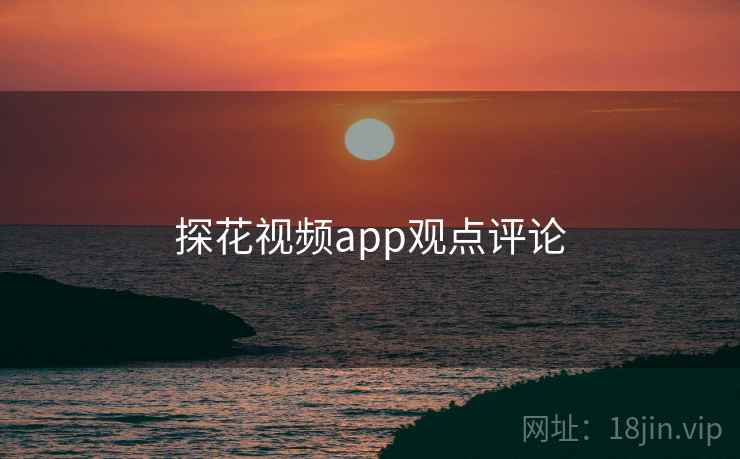 探花视频app观点评论