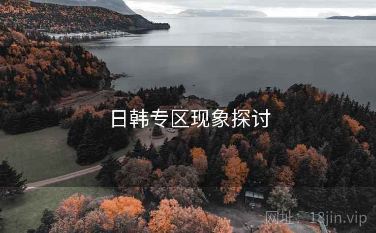 日韩专区现象探讨
