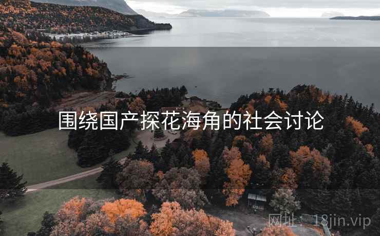 围绕国产探花海角的社会讨论  第1张