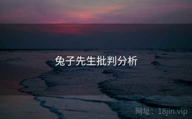 兔子先生批判分析  第2张