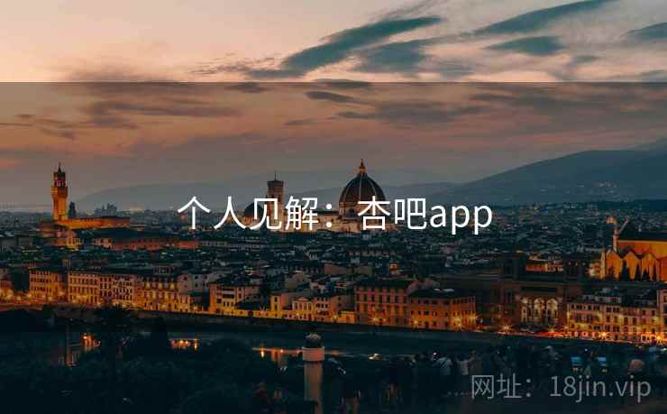 个人见解：杏吧app