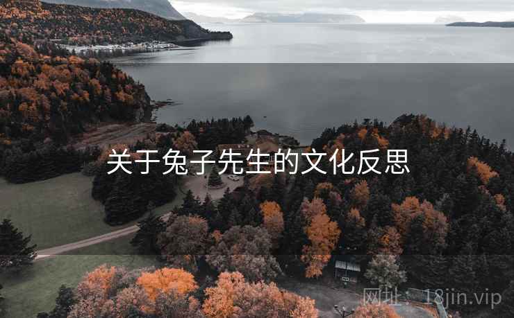 关于兔子先生的文化反思
