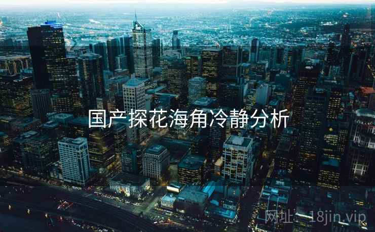 国产探花海角冷静分析  第2张