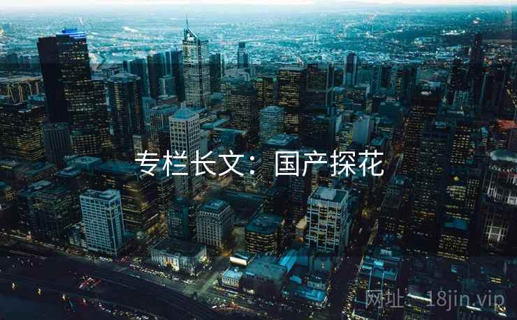 专栏长文：国产探花