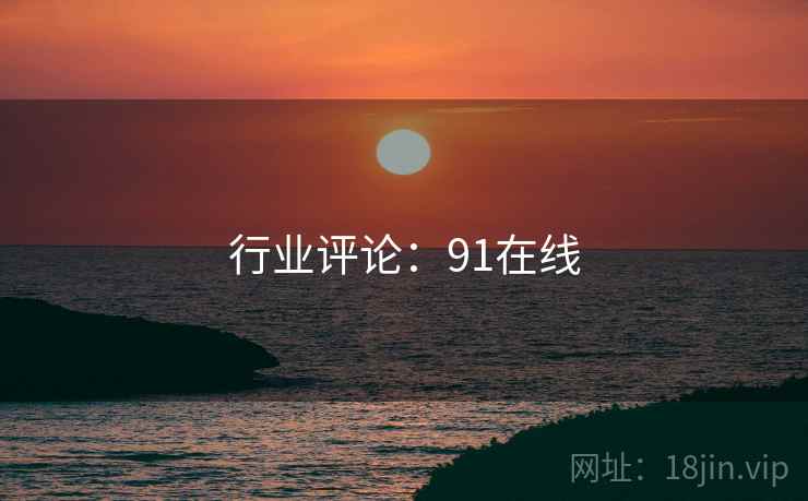 行业评论：91在线