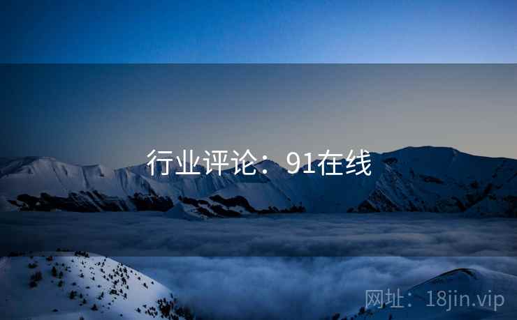 行业评论：91在线