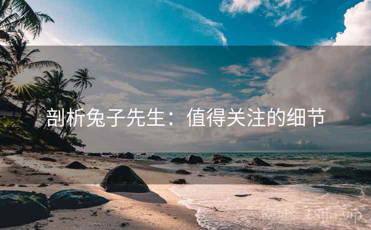 剖析兔子先生：值得关注的细节