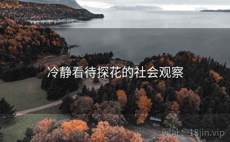 冷静看待探花的社会观察