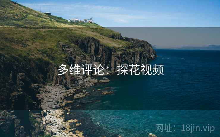 多维评论：探花视频