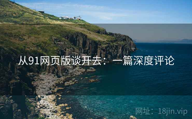 从91网页版谈开去：一篇深度评论