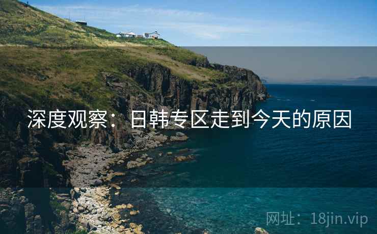 深度观察：日韩专区走到今天的原因