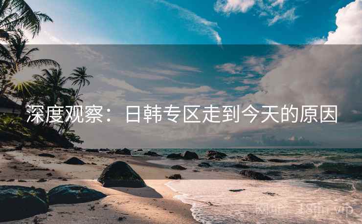 深度观察：日韩专区走到今天的原因