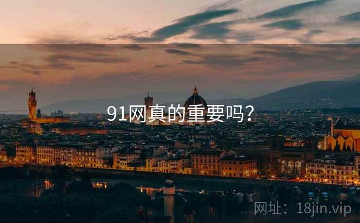 91网真的重要吗?  第1张 91网真的重要吗?  第1张