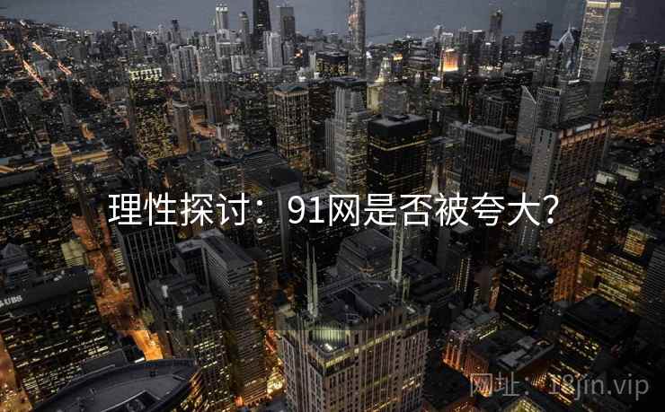 理性探讨:91网是否被夸大?