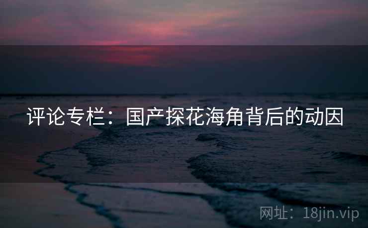 评论专栏:国产探花海角背后的动因