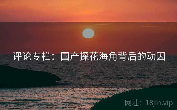 评论专栏:国产探花海角背后的动因