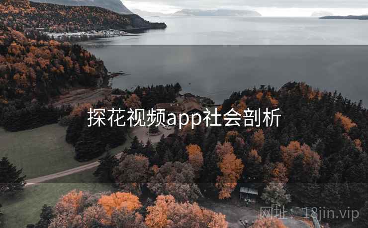 探花视频app社会剖析