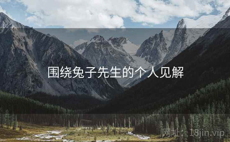 围绕兔子先生的个人见解