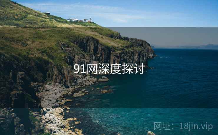 91网深度探讨
