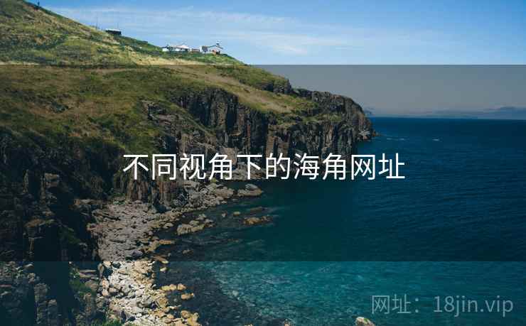 不同视角下的海角网址