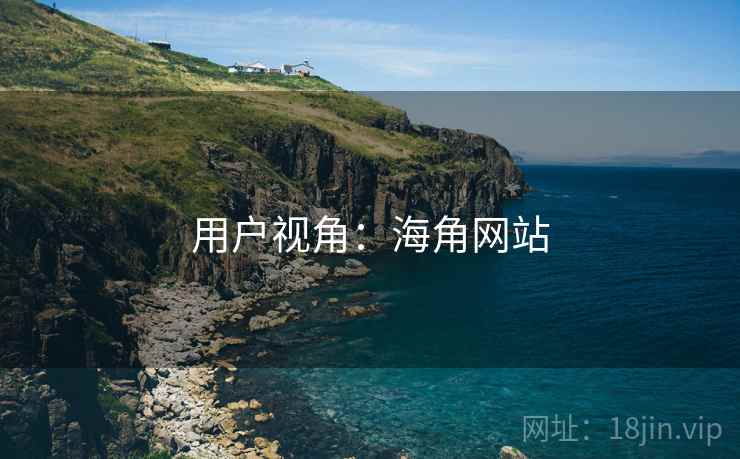 用户视角:海角网站
