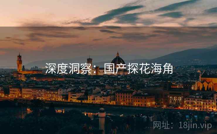 深度洞察:国产探花海角