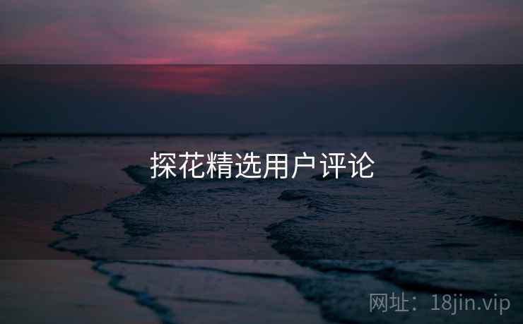 探花精选用户评论