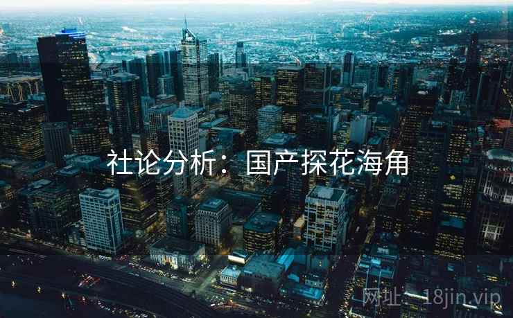 社论分析:国产探花海角