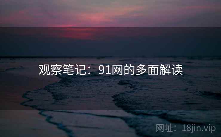 观察笔记：91网的多面解读  第1张