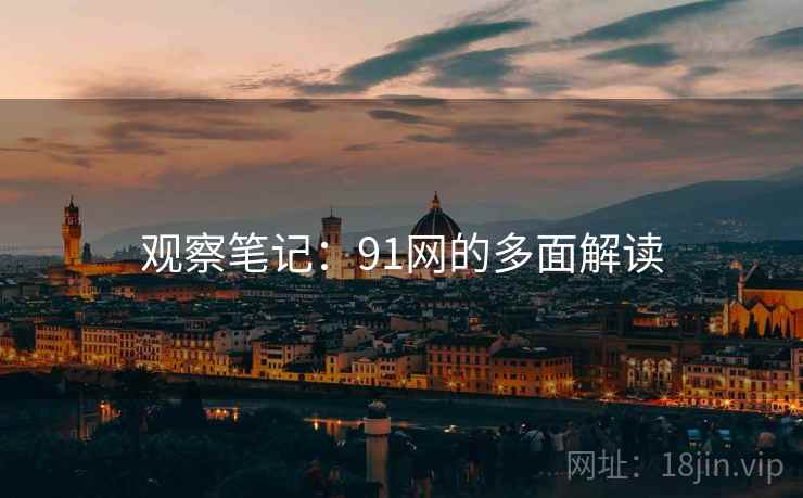 观察笔记：91网的多面解读  第2张