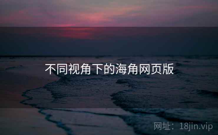 不同视角下的海角网页版