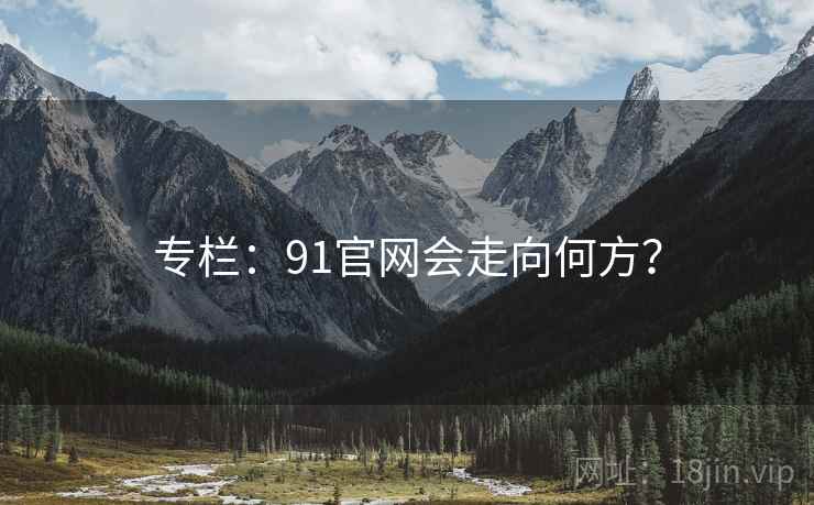 专栏:91官网会走向何方?