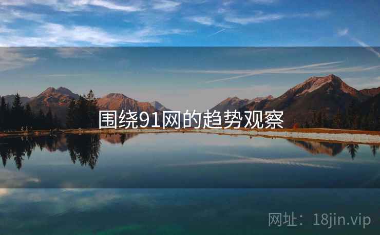 围绕91网的趋势观察