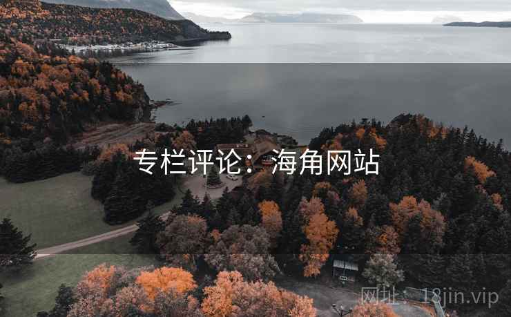 专栏评论:海角网站