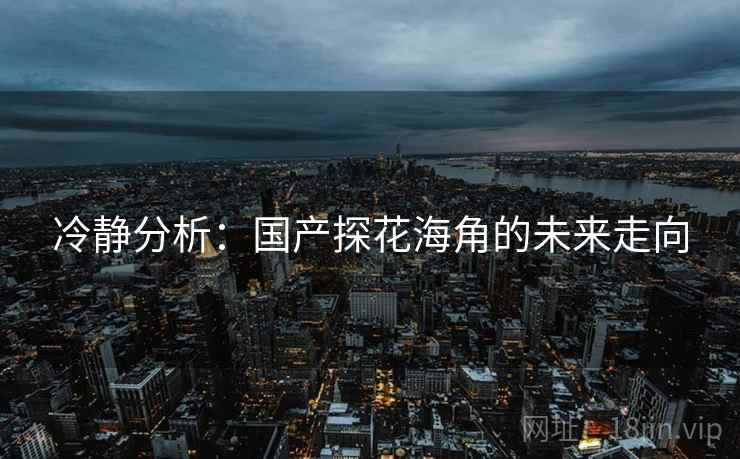 冷静分析:国产探花海角的未来走向