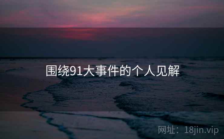 围绕91大事件的个人见解