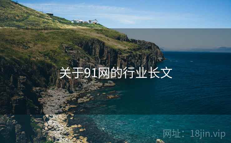 关于91网的行业长文