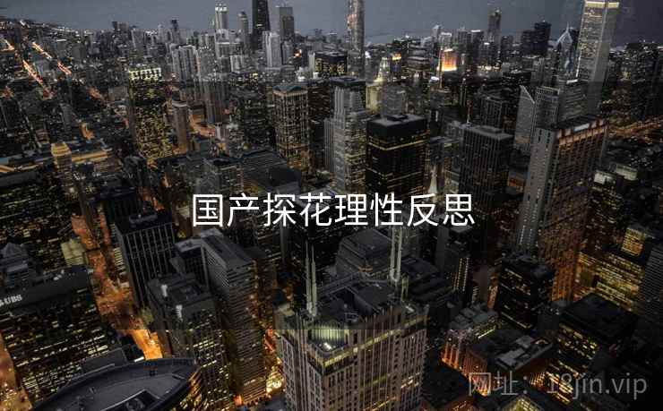 国产探花理性反思